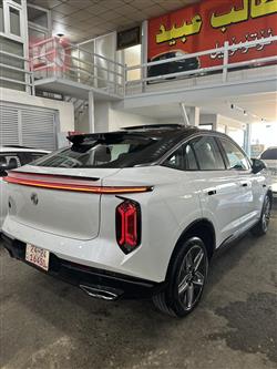 MG Whale